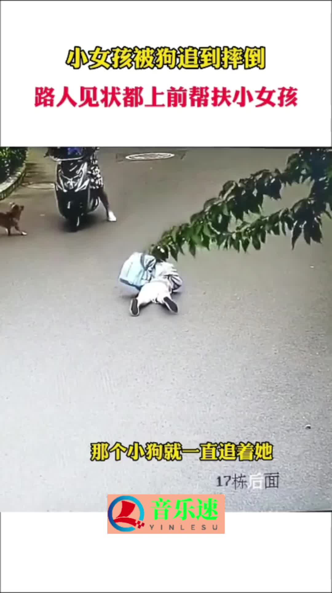 小女孩放学路上被狗追吓到摔倒路人看到后下车帮扶