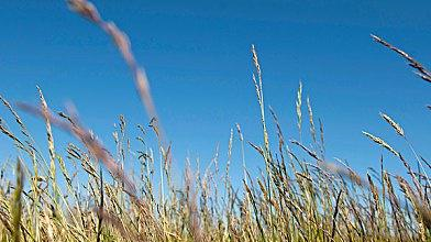 两首虞美人,真挚感人,李煜和辛弃疾的对决,令人心醉休闲区蓝鸢梦想 - Www.slyday.coM 两首虞美人,真挚感人,李煜和辛弃疾的对决,令人心醉休闲区蓝鸢梦想 - Www.slyday.coM