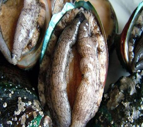 别这样回答,是会闹笑话的|鲍鱼|服务员|海鲜_新浪新闻