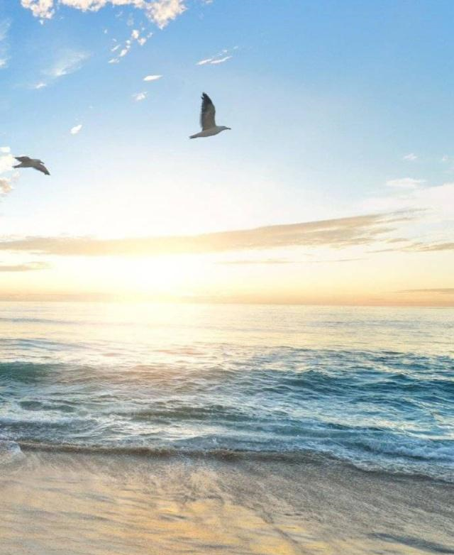 白羊座:相恨不如潮有信,相思始觉海非深休闲区蓝鸢梦想 - Www.slyday.coM 白羊座:相恨不如潮有信,相思始觉海非深休闲区蓝鸢梦想 - Www.slyday.coM