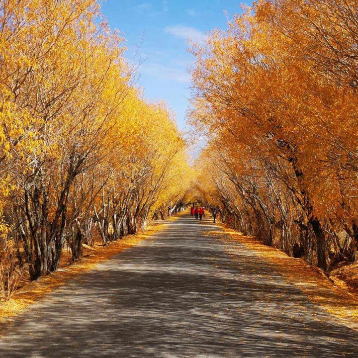 2010年南疆四地州公务员录用名单