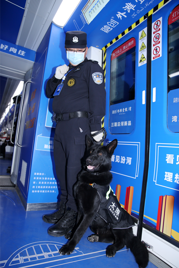 着装整齐的警察牵着威风凛凛的警犬开展巡逻工作,成为地铁内一道靓丽