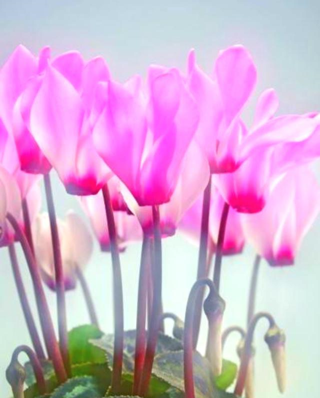 天秤座:好看的皮囊千篇一律,有趣的灵魂万里挑一休闲区蓝鸢梦想 - Www.slyday.coM 天秤座:好看的皮囊千篇一律,有趣的灵魂万里挑一休闲区蓝鸢梦想 - Www.slyday.coM