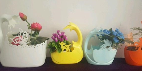 洗衣液瓶变花盆巧手diy养花不花钱还能赚钱