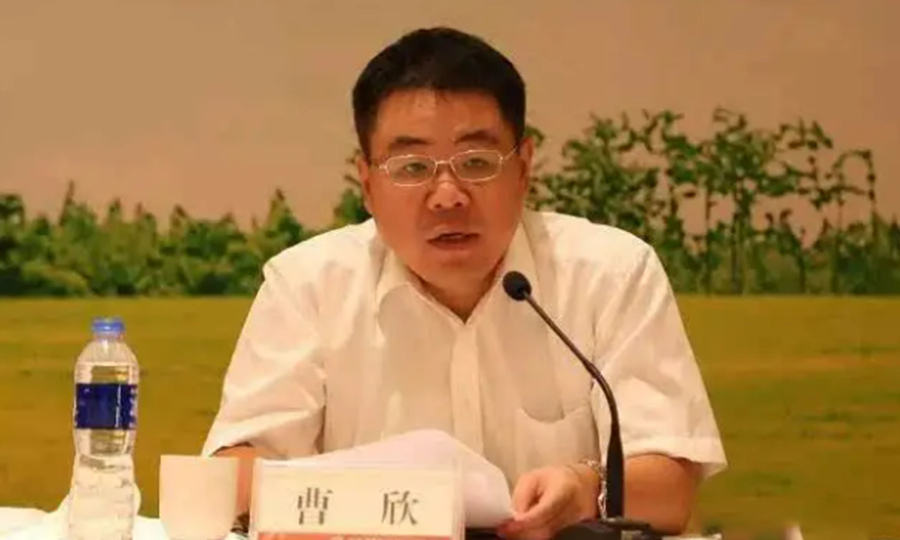 曹欣连任新天绿能董事长将积极布局省内风光储多能互补基地