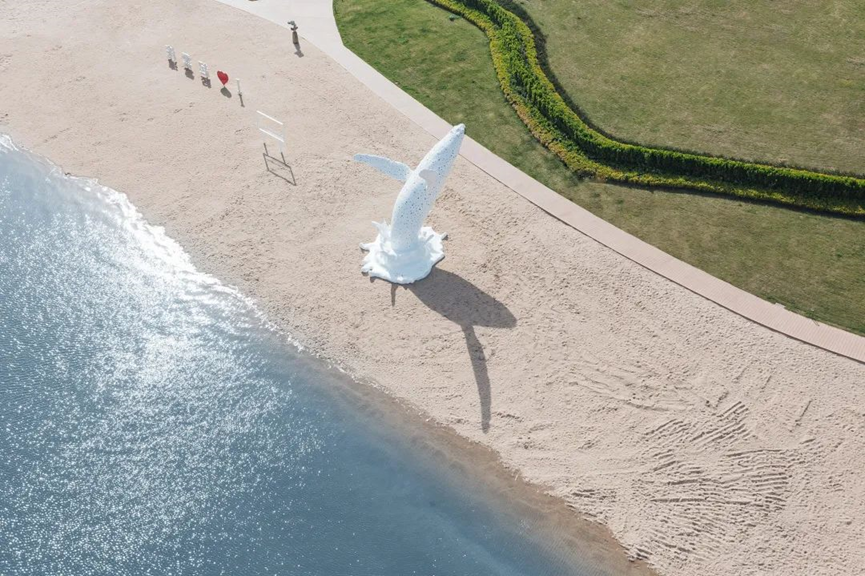世茂起云湾当五官遇见海是时候赴一场浪漫春约了
