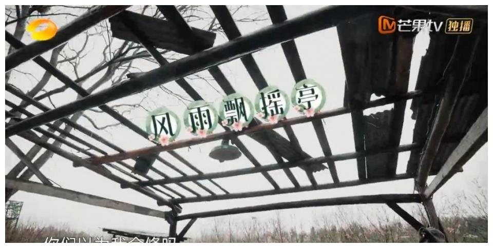 向往的生活5张艺兴人设引热议正能量满满表现广受好评