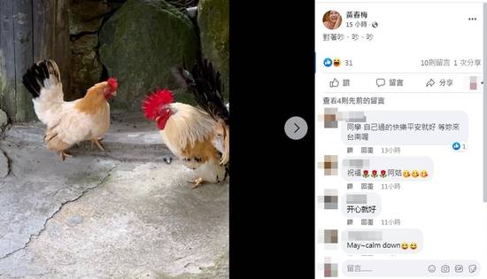 力挺汪小菲！大s亲妈发养鸡照怒斥<a href=
