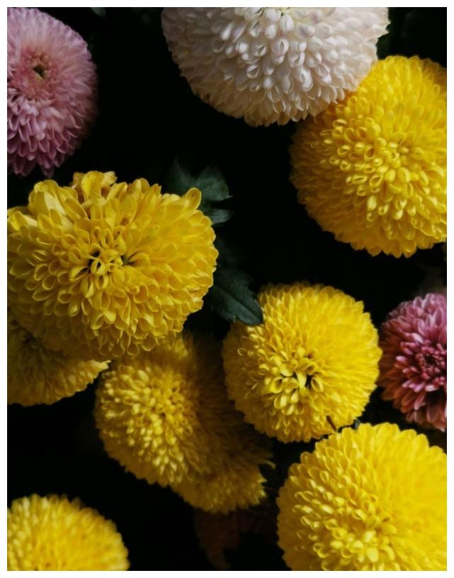 11月23日 11月26日运势旺盛 有望走上人生巅峰大吉大利的4大生肖