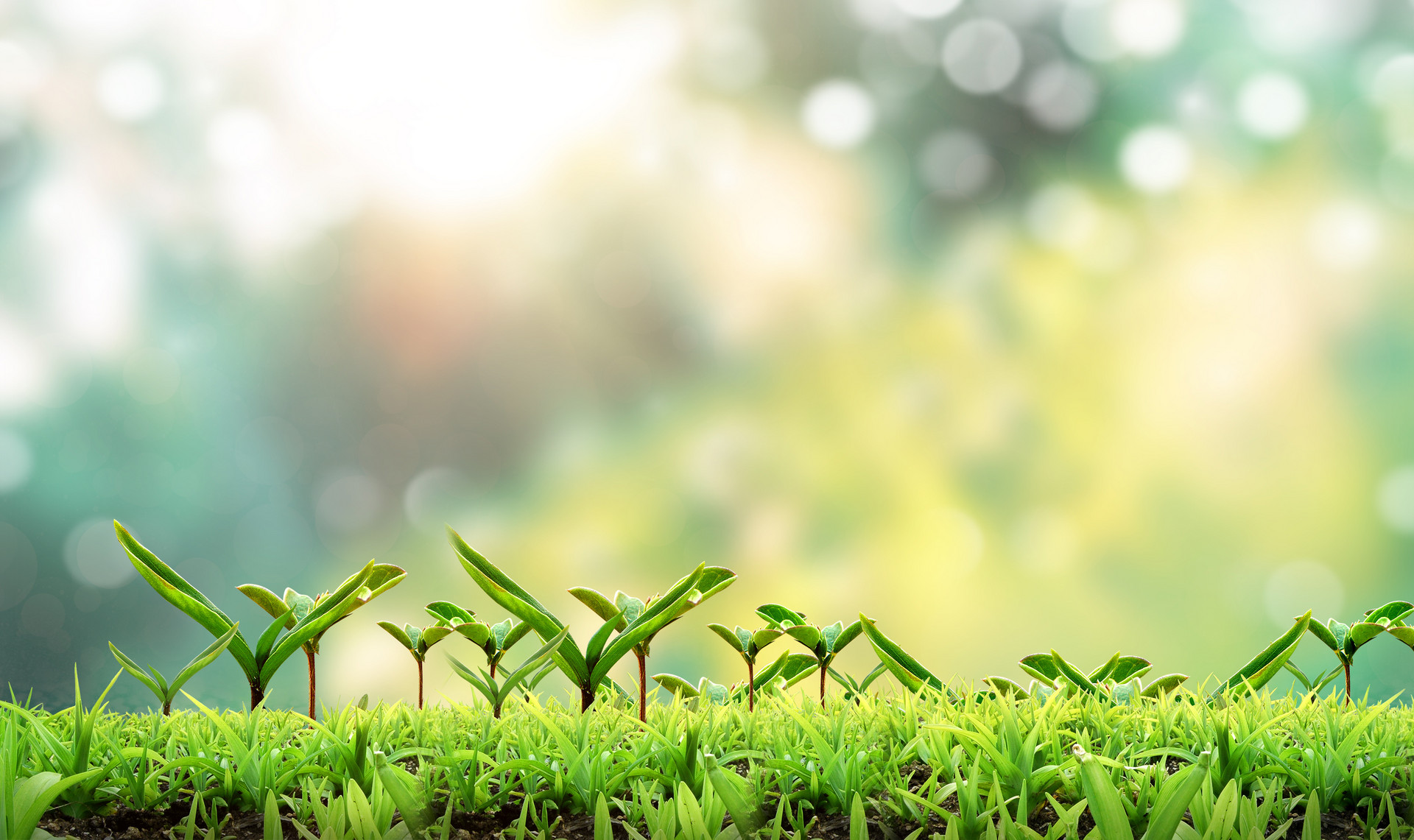 又到春困秋乏季适合春季养生的食材有哪些