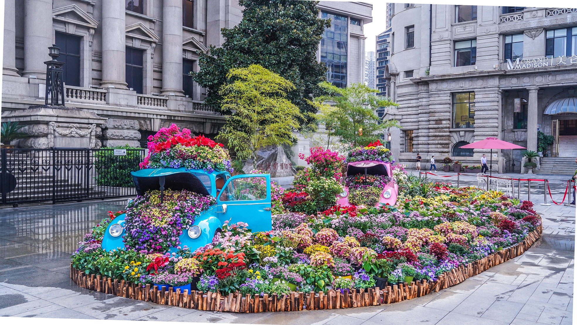 5万盆鲜花扮靓百年老街 武汉首个花漾街区"落户"江汉路步行街|落户