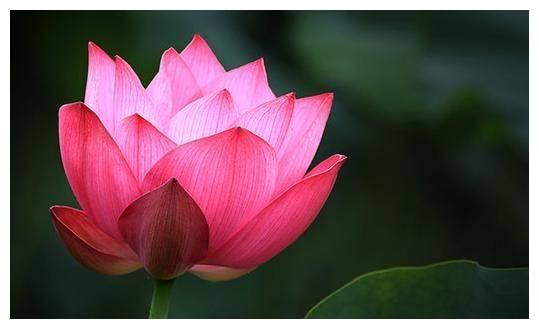 10月开始 贵人提携 好运连连 财路广进的四大生肖