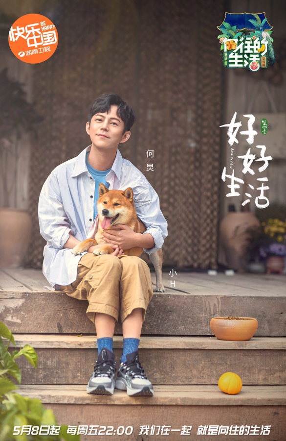 《向往的生活》何炅怀抱小h惬意撸狗 蘑菇屋里陪你"好好生活"
