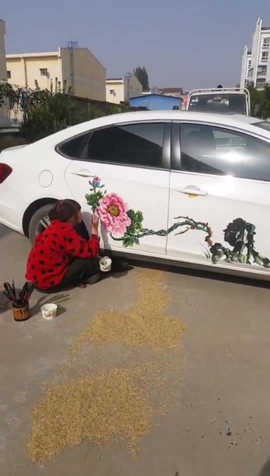 晒粮食的车主非要让我妈在他的车上画牡丹花