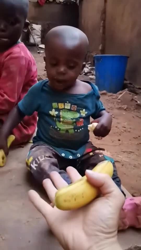 熊孩子给他们买的香蕉，看吃的多高兴啊