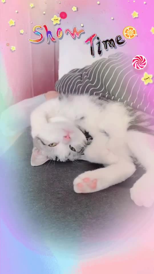 头都睡扁了