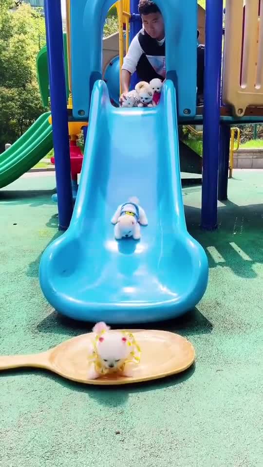 玩不够的滑滑梯