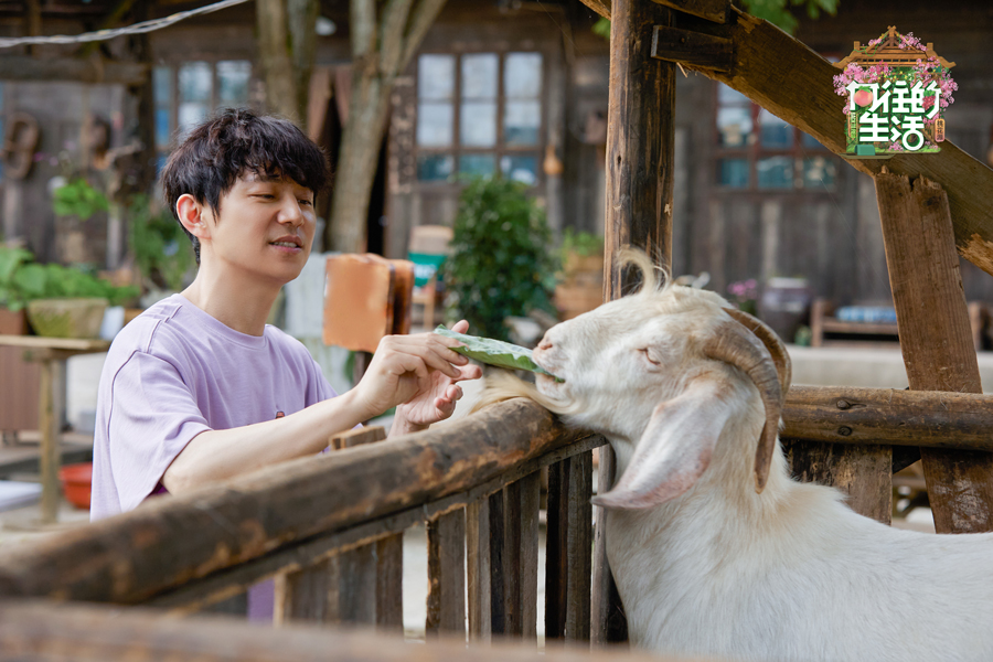 向往的生活第五季向往的图书馆开业刘晓邑木偶戏治愈暖心