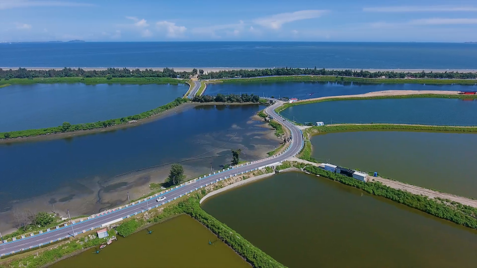 陆丰大学里怎么找卖的