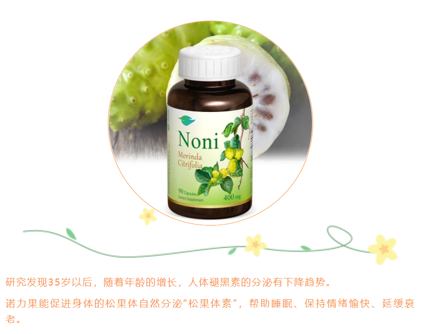 槟购斐科特休闲区蓝鸢梦想 - Www.slyday.coM