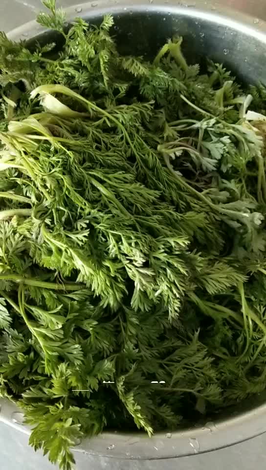 蒸野萝卜缨_手机新浪网