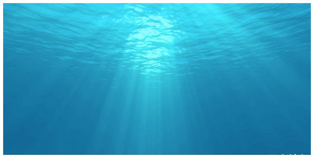 一支榴莲 海底 温柔的人会带你逃离海底 财经头条