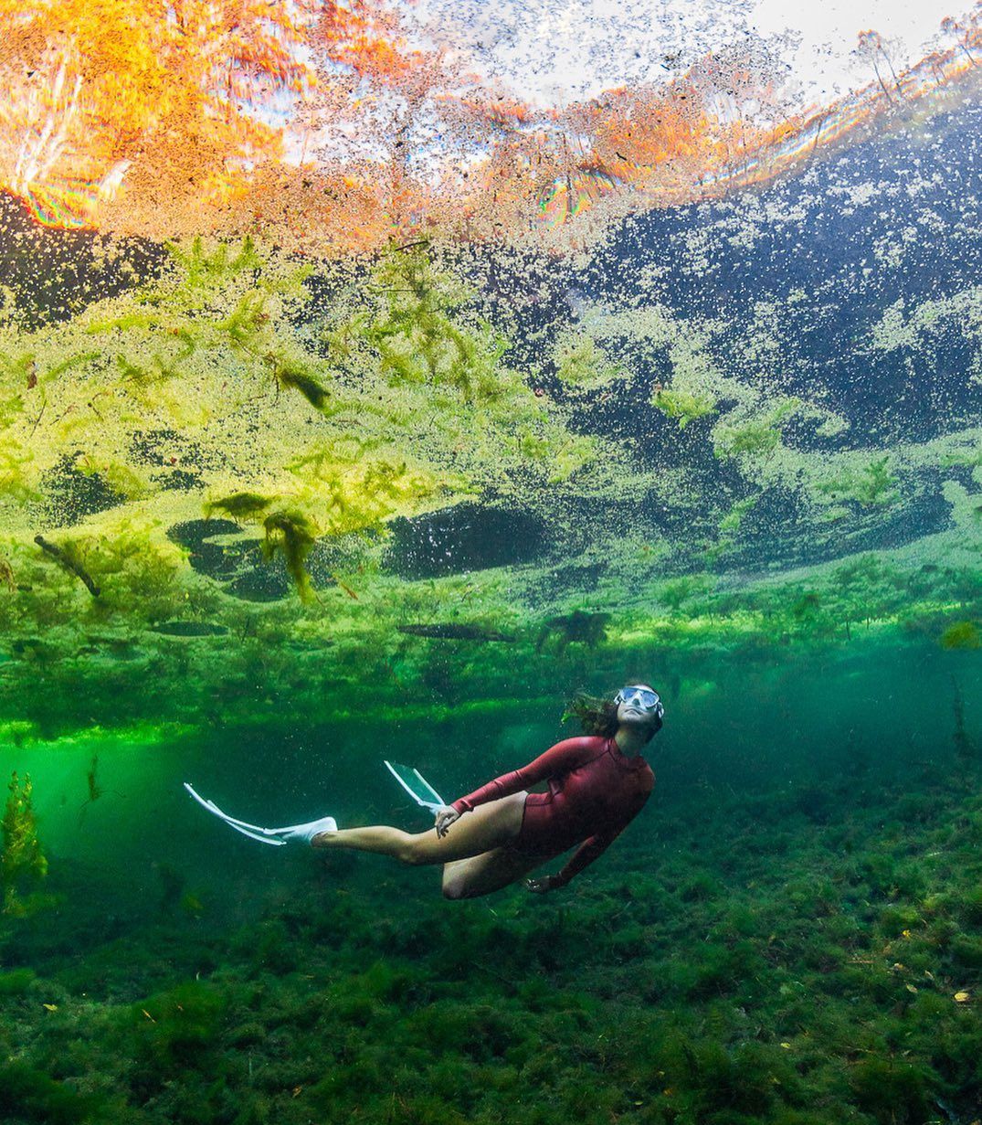巴哈马群岛的水下美女,人美景也美