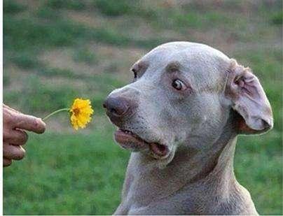 史上最毒的10张搞笑gif动图太搞笑段子不收藏就找不到了