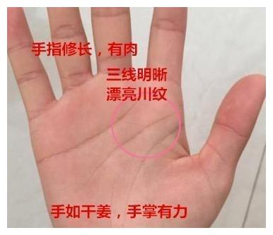 川字纹好不好还要看手相整体若手有这样特征注定做老板的命