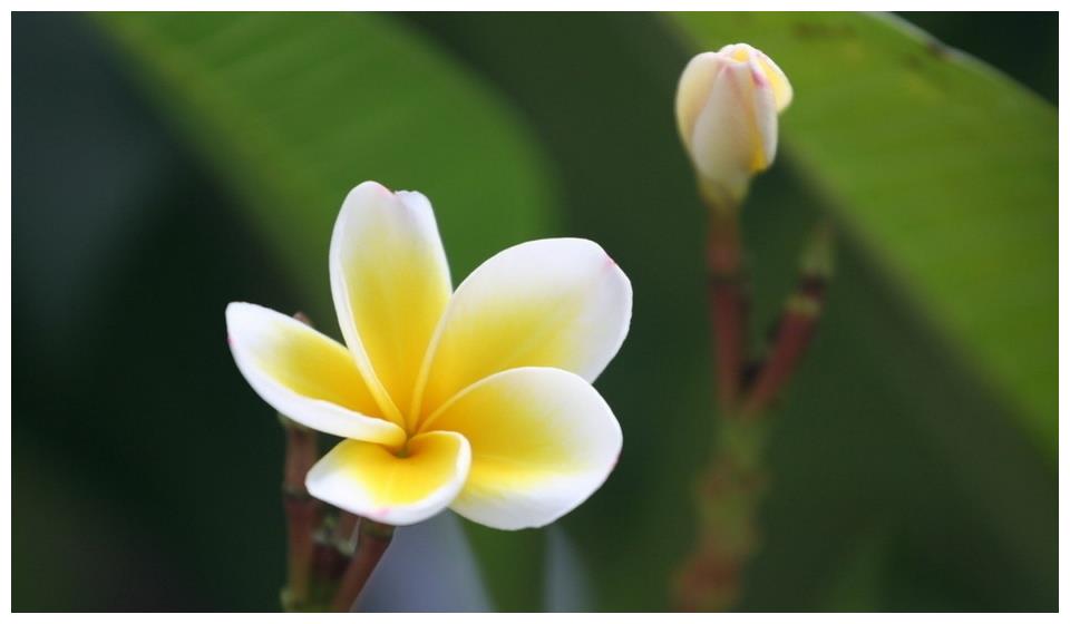 12月1日 10日星座运势 巨蟹座精力充沛 水瓶座亲力亲为 12月1日 10日星座运势 巨蟹座精力充沛 水瓶座亲力亲为