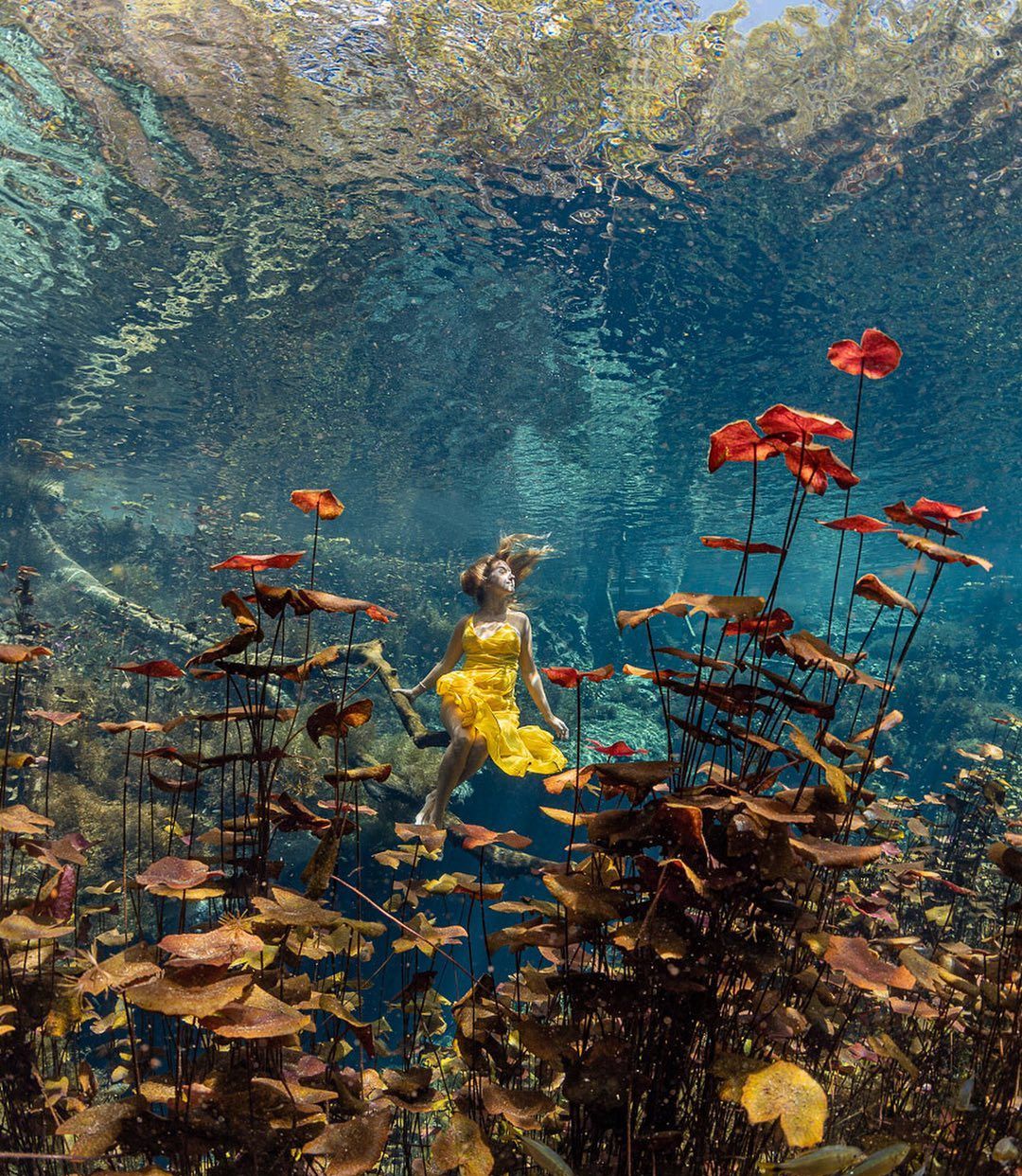 巴哈马群岛的水下美女,人美景也美