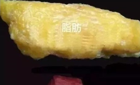 1公斤脂肪等于7700大卡减掉10公斤脂肪需要多长时间