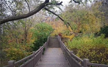 玩遍大连丨踏青赏花好季节,爬山路线送给你~