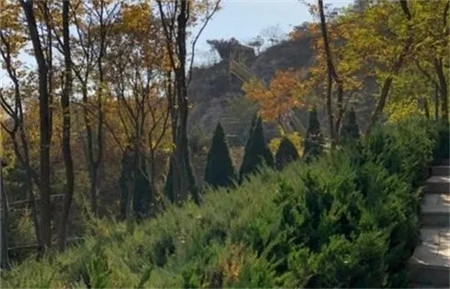 玩遍大连丨踏青赏花好季节,爬山路线送给你~