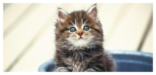 幽默笑话：男子喜欢女孩，却不敢表白，渐渐的他们成了闺蜜休闲区蓝鸢梦想 - Www.slyday.coM