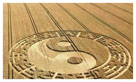 甲阳木,其性仁慈,为十干之首;己为阴土,其性宁静,有滋生万物之德,所以