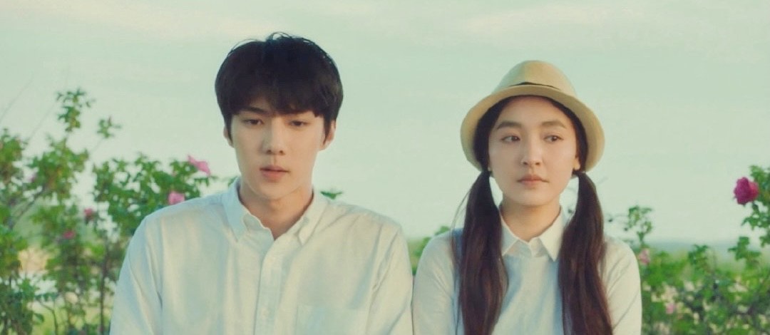 史上最快下架?《我爱喵星人》已看不了,仅2小时的观看权限