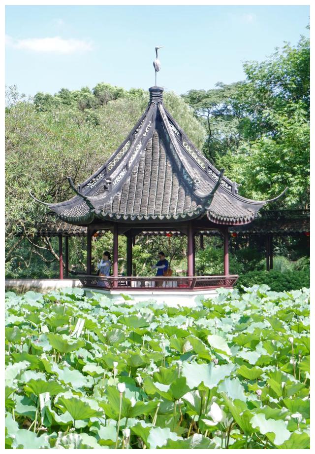 这里被称为“上海之根”,也是上海唯一的山区,有6000多年历史休闲区蓝鸢梦想 - Www.slyday.coM 这里被称为“上海之根”,也是上海唯一的山区,有6000多年历史休闲区蓝鸢梦想 - Www.slyday.coM