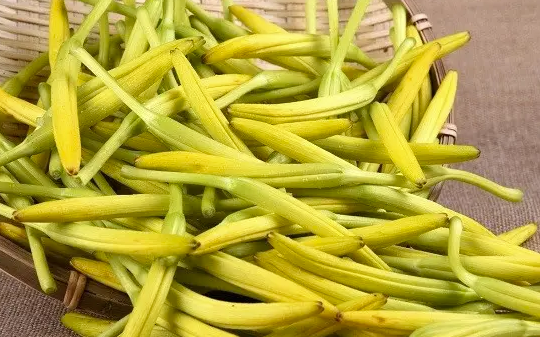 新鲜黄花菜的处理