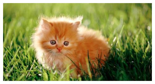 幽默笑话：男子喜欢女孩，却不敢表白，渐渐的他们成了闺蜜休闲区蓝鸢梦想 - Www.slyday.coM