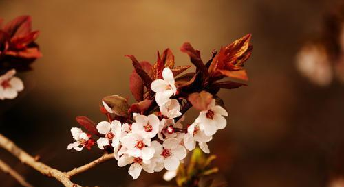 平时柔弱,但重要时刻当仁不让的星座,霸气藏在骨子里休闲区蓝鸢梦想 - Www.slyday.coM 平时柔弱,但重要时刻当仁不让的星座,霸气藏在骨子里休闲区蓝鸢梦想 - Www.slyday.coM