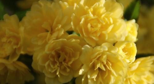 平时柔弱,但重要时刻当仁不让的星座,霸气藏在骨子里休闲区蓝鸢梦想 - Www.slyday.coM 平时柔弱,但重要时刻当仁不让的星座,霸气藏在骨子里休闲区蓝鸢梦想 - Www.slyday.coM