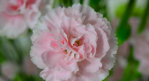 平时柔弱,但重要时刻当仁不让的星座,霸气藏在骨子里休闲区蓝鸢梦想 - Www.slyday.coM 平时柔弱,但重要时刻当仁不让的星座,霸气藏在骨子里休闲区蓝鸢梦想 - Www.slyday.coM