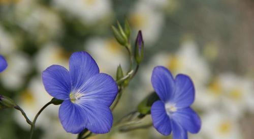 平时柔弱,但重要时刻当仁不让的星座,霸气藏在骨子里休闲区蓝鸢梦想 - Www.slyday.coM 平时柔弱,但重要时刻当仁不让的星座,霸气藏在骨子里休闲区蓝鸢梦想 - Www.slyday.coM