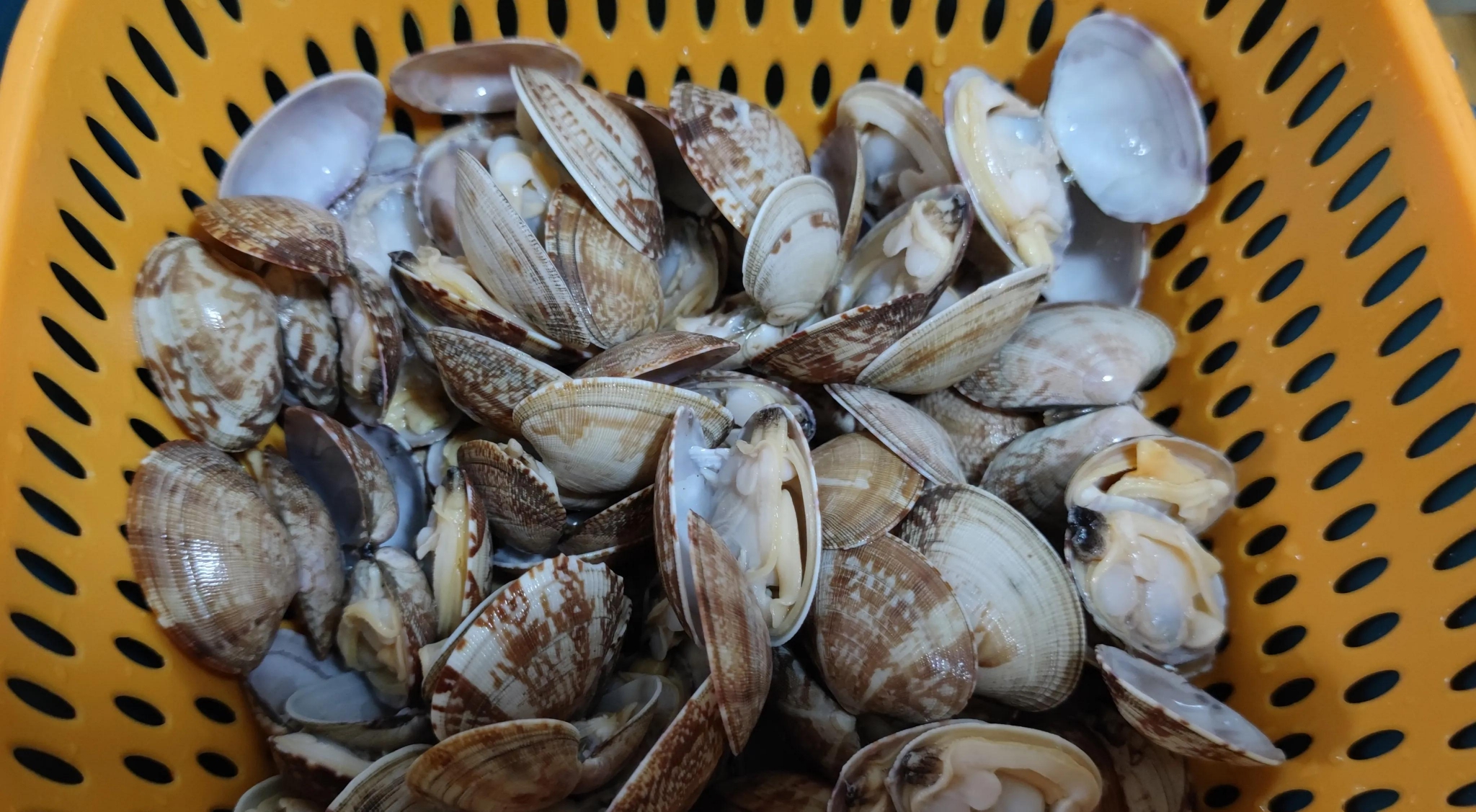 2,凉水下入洗净的花蛤煮2分钟,1,大花甲35度温水浸泡,加一勺油一勺盐