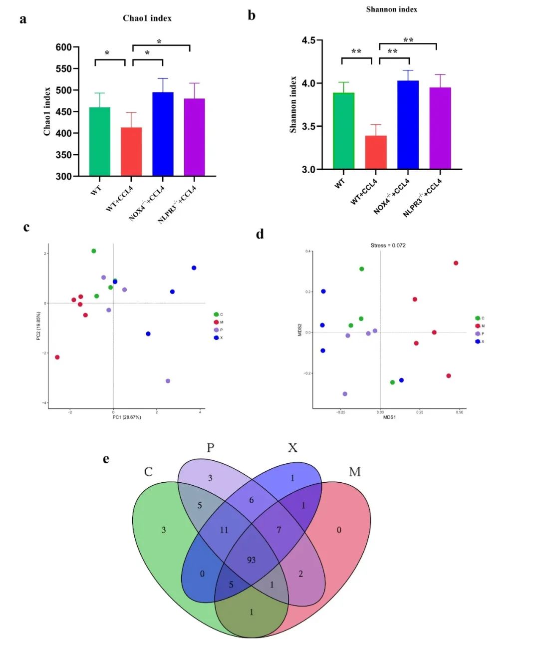 探索文化交流中的多样性表现形式与价值解析
