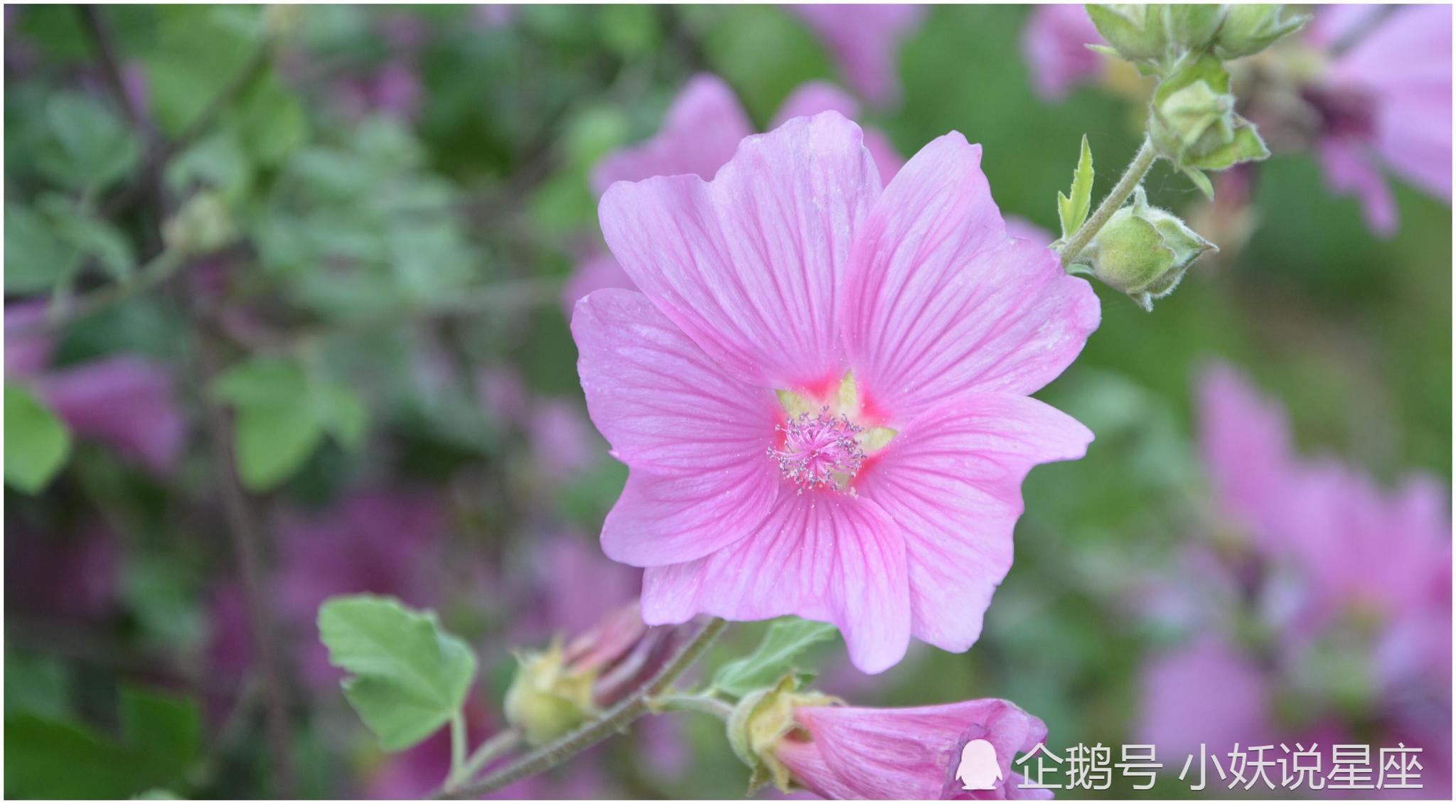 3月16日爱情运势 幸福敲门 情有所归的四大星座 财经头条 3月16日爱情运势 幸福敲门 情有所归的四大星座 财经头条
