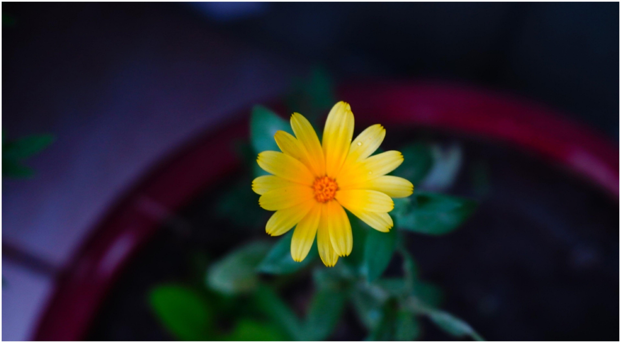 2月，这些星座登上了事业山顶，虽然伤痕累累，却看到无限的风光休闲区蓝鸢梦想 - Www.slyday.coM