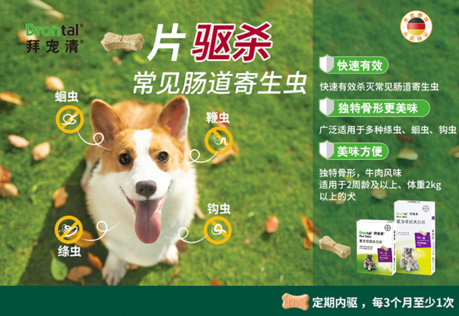 拜宠清驱虫效果怎么样 能否对狗狗拉肚子的情况产生作用 蠕虫 拜宠清 狗狗 新浪新闻