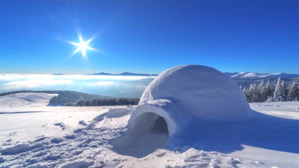 北极已经那么冷了,为啥因纽特人还要住冰屋?进去一看大开眼界